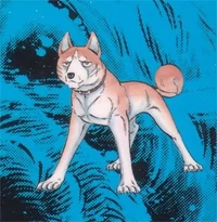 Ginmanga008.jpg