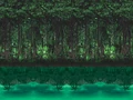 Jungle.png