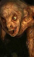 http://stalker.wikia