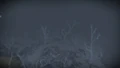 Abandoned Reef.jpg