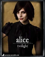 Alice in Twilight