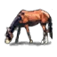 Horse (Civ4)