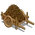Brown Poopcart-icon