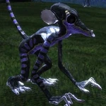 Creatures Pyjak