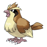 Imatge de Pidgey
