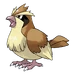 Pidgey
