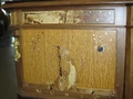 Thumbnail for version as of 20:31, August 3, 2010