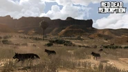 Rdr wolf03