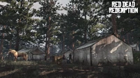 Rdr manazanita post02