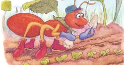 The ant farm