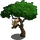 Pygmy Marmosets-icon