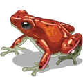 OddFrogs Milk-icon