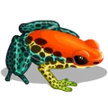 OddFrogs Orange-icon