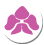 Orchids-icon