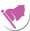 Pirate Flags-icon