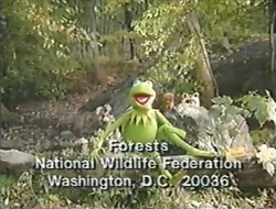 Nwf-critters