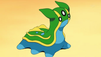 Gastrodon de Paul