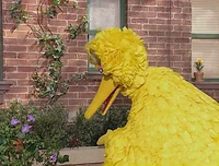 4004scene1 1.jpg