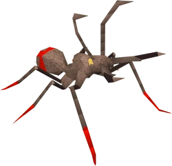 Bull ant