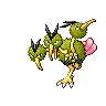 Dodrio E variocolor
