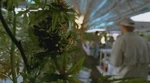3x03-Farmer