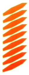 Athakam Medtech.jpg