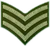 Veteran icon gte