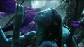 Sow-avatar.1080p 3844.jpg