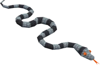 Sea-snake-hatchling