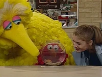 3918scene2.jpg
