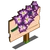 Gladiolus