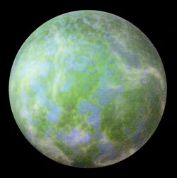 596px-Pollillus NEGAS.jpg