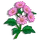 Pink Aster-icon