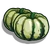 Dumpling Squash-icon