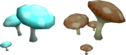 Isafdar Mushroom