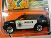 Buried Treasure Ford Expedition