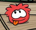 Yarr Species.jpg