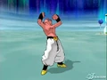 Budokai 2 14