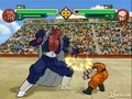 Budokai 2 42