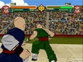 Budokai 2 125
