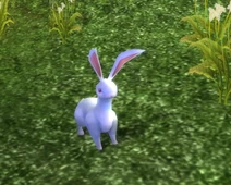 White Cave Rabbit
