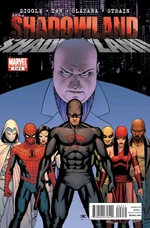 Shadowland Vol 1 2.jpg