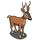 Roe Deer