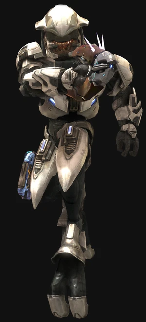Sangheili Minor