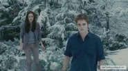 Bella&Edward