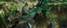 Sturmbeest Hunt 3