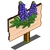 Lupine