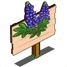 Lupine