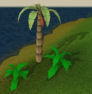 Redbananatree