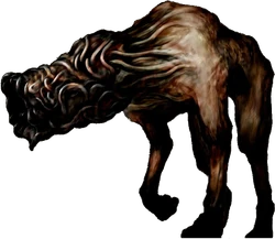 Wormhead